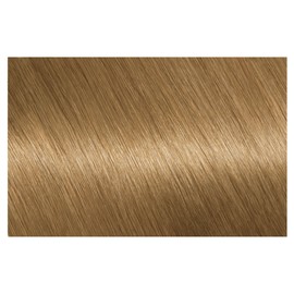 Garnier Nutrisse Permanent Hair Colour 7.3 Honey Dip