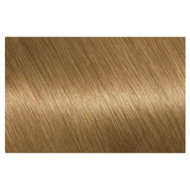 Garnier Nutrisse Permanent Hair Colour 7.3 Honey Dip