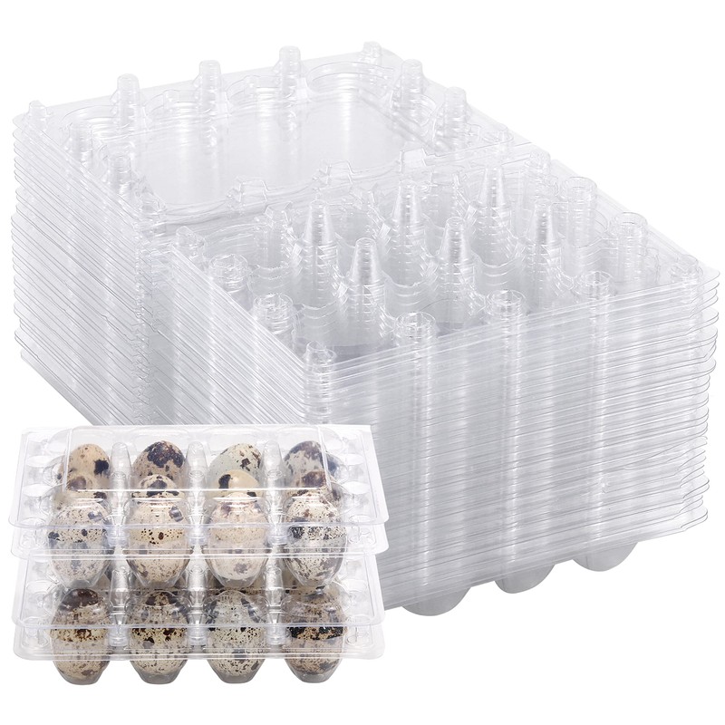 60 Pcs Quail Egg Cartons, Square Dozen Egg Boxes, Classical