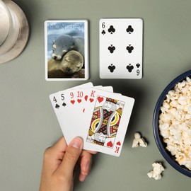 Lantern Press Monterey, California, Sea Lions Cuddle (52 Playing Cards, Poker Size Card Deck with Jokers)
