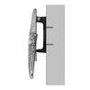 Starfish Door Knocker - Nickel (Standard Size)