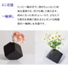 Black Vase, Single Vase, Small, Stylish, Mini Vase, Ceramic Vase,