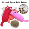 YuCool 5 Pcs Catnip Toys for Indoor Interactive Cat Chew