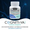 Probiticos para la flora intestinal Fosfatidilserina mejora la concentracin Cognitiva