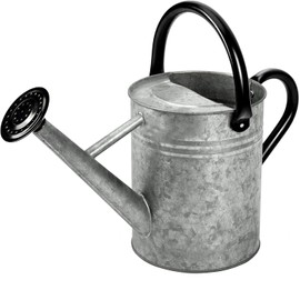 yourjoy Metal Watering Can, One Gallon Watering Cans Stainless Steel for Outdoor Indoor Garden Plants Watering (Silver 1 Gallon)