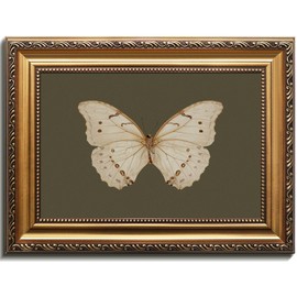 Uniro Vintage Gold Framed Wall Art, Classical Butterfly Oil Paintings, Dark Moody Insect Canvas Prints Artwork with Antique Frame, Sage Green Wall Decor Pictures for Bedroom, Kitchen, Shelf, Bathroom Wall Decor, Cottagecore Room Decor - 12x16Inch