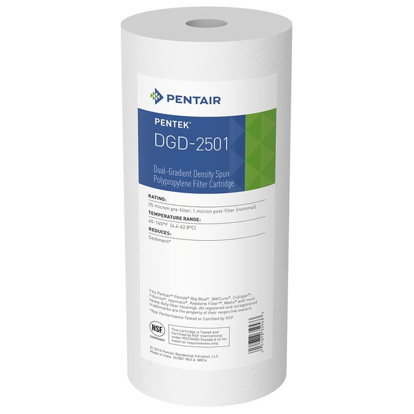 Pentair Pentek DGD-2501 Big Blue Water Filter, 10-Inch Whole House