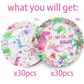 60ps Pink Dinosaur Birthday Party Paper Plates Jungle T-rex Three Rex Two Rex Watercolor Dino Disposable Plates for Girls Kids Dino 1st 2nd 3rd 10th Bday Baby Shower Party Supplies Decorations