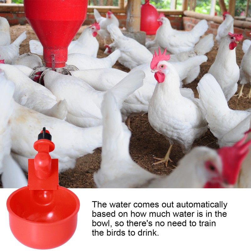 Automatic Chicken Waterer Hanging Water Cups for Quail Pigeon Duck