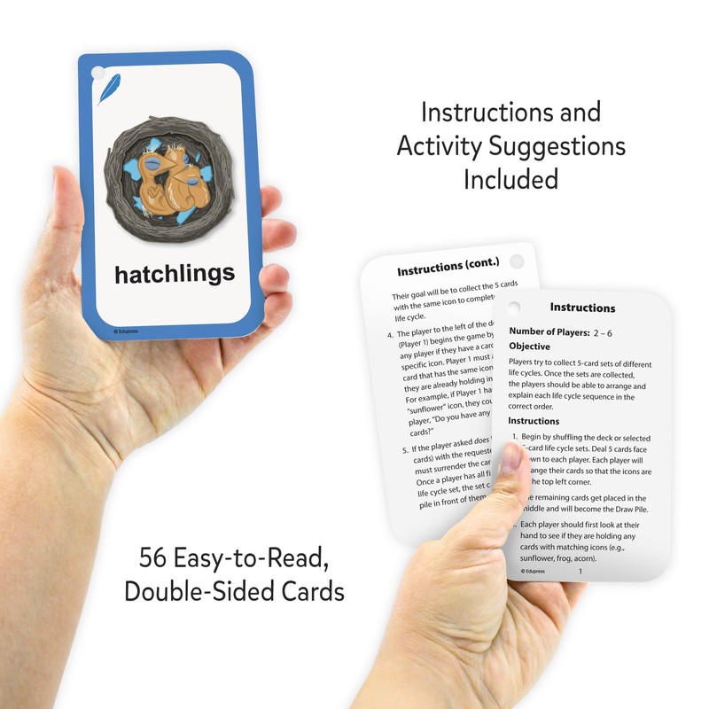 Edupress Go Fish: Life Cycles Flash Cards (EP62321)