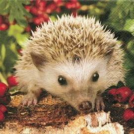 Pack of 20 Napkins Hedgehog 33 x 33 cm