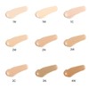 Monel Airy Silk Finish Cover Concealer / 모넬 에어리 실크