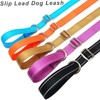 MayPaw 3 FT Slip Lead Dog Training Leash, Reflective Nylon