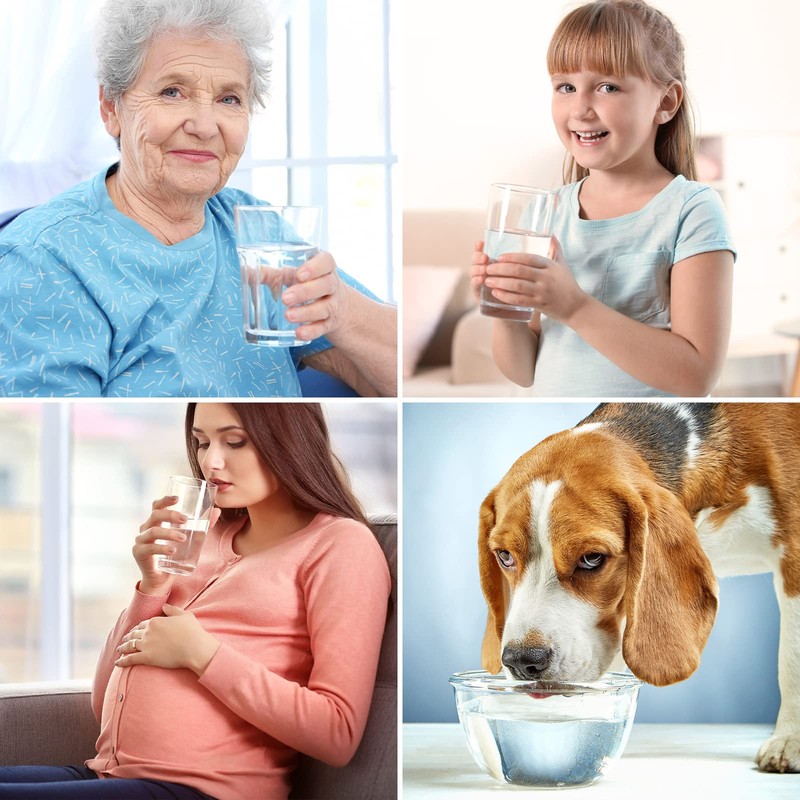 SimPure T1 Series CTO Filter Replacement Cartridge for Model T1-100,