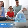 Humidifier Cleaner, 16 Pack Demineralization Cleaning Ball, Universal Humidifier Tank