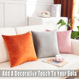 Mondiafy Velvet Throw Pillow Covers, 2 Pack Pillow Cases 18x18, Cozy Farmhouse Decorative Cushion Covers for Sofa Couch Bed Chair Home Decoration