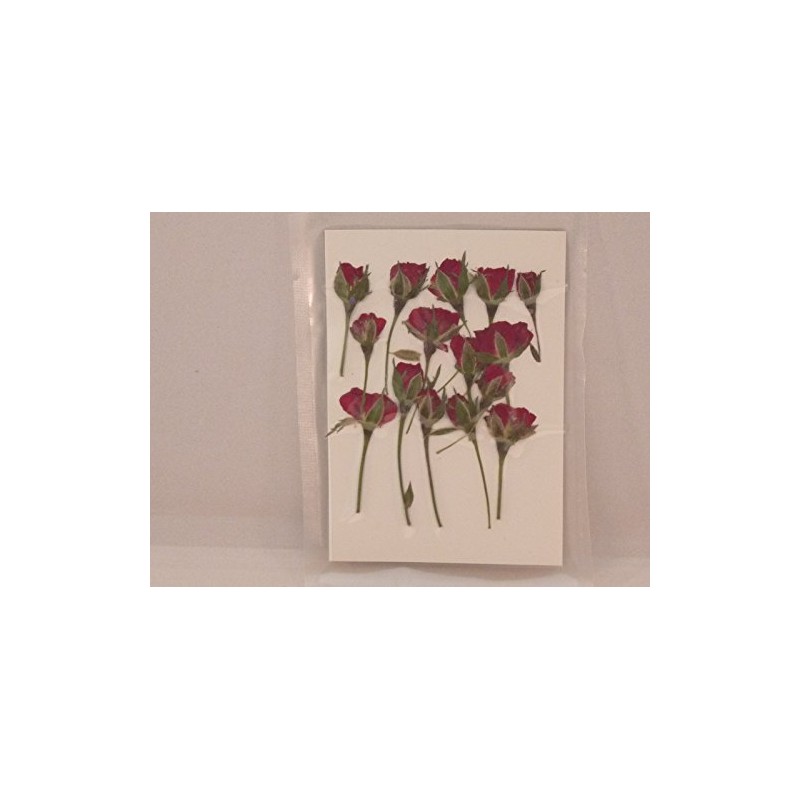 Fukusan Pressed Flower Pack, Wild Rose, Red (Diagonally Pushed), FUK-1022
