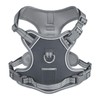 AUNZO No-Pull Adjustable Dog Harness for Small Dogs,Easy Control with
