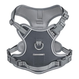 AUNZO No-Pull Adjustable Dog Harness for Small Dogs,Easy Control with Handle, Havanese Chihuahua Puggle, Inescapable, Ez Walking, Safe Reflective Strips, No Rub,No Choke, Gray, S