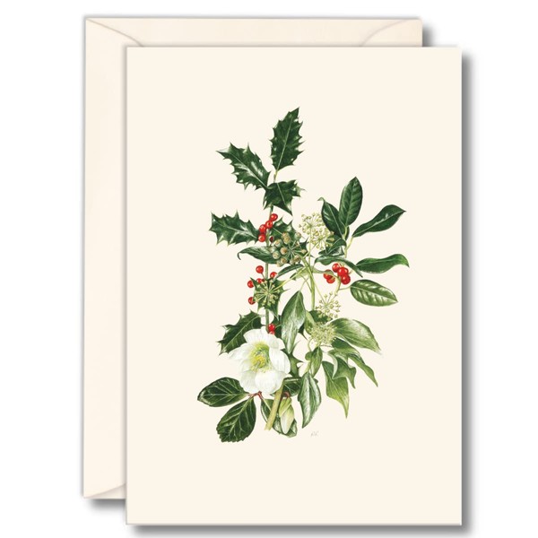 Earth Sky + Water - Hellebore & Holly Notecard Set - 8 Blank Cards with Envelopes