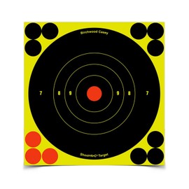 Birchwood Casey Shoot-N-C Bull's Eye Target (8-Inch) Pack of 6 with 72 Pasters