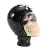 QANYEGN Skull Gear Shifter, Skull Head Gear Shift Knob, Car