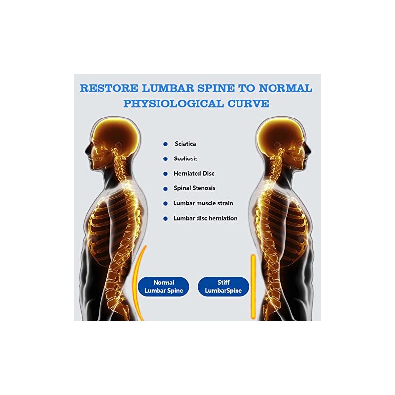 Nvorliy Soporte lumbar de espalda baja y sistema de doble