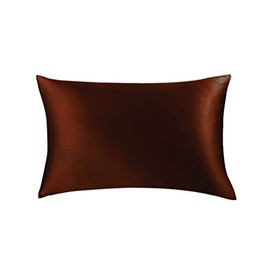 Jasmine Silk 100% 19 Momme Mulberry Charmeuse Silk Pillowcase for Hair and Skin 50 cm x 75 cm Envelope Closure- RRP £35 (Mocha)