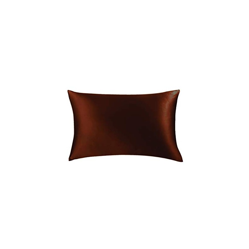 Jasmine Silk 100% 19 Momme Mulberry Charmeuse Silk Pillowcase for