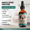 MycoDog Digest - Mushroom Extract & Adaptogen Tincture Dog Supplement