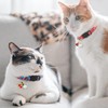 PUKAKO Cat Collars, Cat Collars, Set of 7, Includes Bells,
