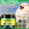 Probiotics for Dogs, 120 Chews, Pre & Probiotic Supplements for