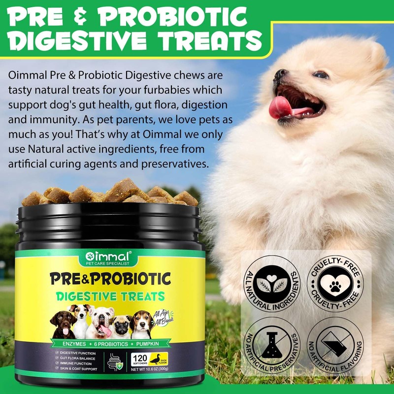 Probiotics for Dogs, 120 Chews, Pre & Probiotic Supplements for