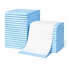 Puppy Pads 100 Count, 13" x 18" (33 x 45