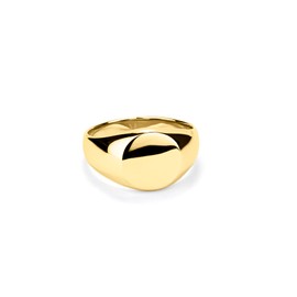 Radiant Ruiz Collection - Stainless Steel Rings in Gold and Silver for Men in Rebel Style and Elegant - Size 22 to 26