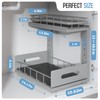 Biboraya 2 Pack Under Sink Organizer Upgrade to Professional Rails,2-Tier