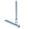 Furniture Confirmat Screws with Hexagon Socket Countersunk Head for Wood