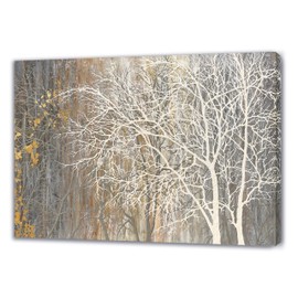 Yihui Arts Canvas Wall Art Hand Painted White Tree Picture Painting Brown Forest Landscape Nature Artwork for Bedroom Bathroom Home Office Living Room Decorations
