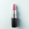 vein MAC Frost Lipstick Plum Dandy, 3g, 1 piece / 맥 프로스트 립스틱 플럼 댄디, 3g, 1개