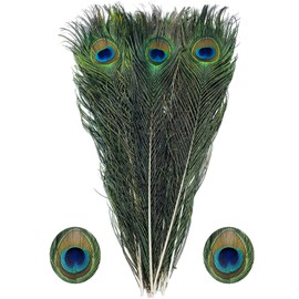 Peacock Feather Bulk Natural -20Pcs 15-19in (40-50 cm),Long Peacock Feathers for Crafts or Vase or Party Decorations.