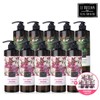 Rquillaya [TV Product] Le Quillaya Scalp Shampoo 810ml 10 Bottles / [TV상품] 르퀼라야 스칼프 샴푸 810ml 10통