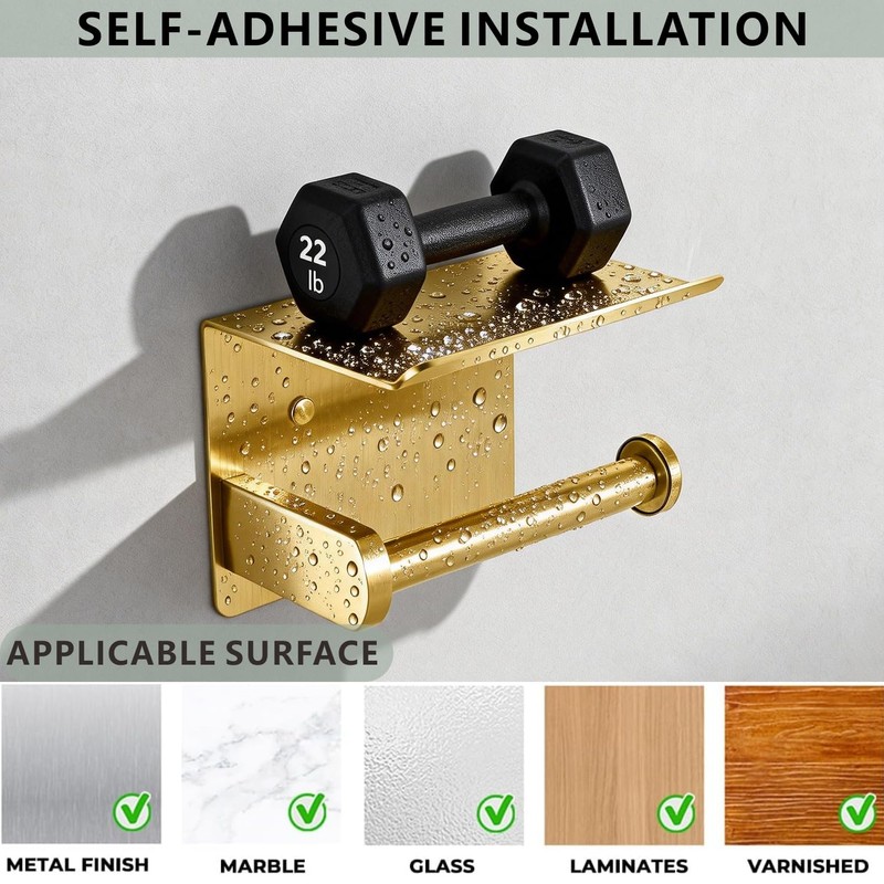 DIYZON Toilet Paper Holder with Shelf, Heavy-Duty Stainless Steel Bathroom