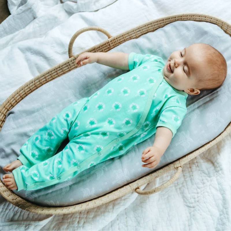 Organic Cotton Summer Short Sleeve Crossover Sleepsuit - Dandelions in