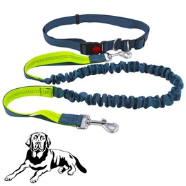 senvenelec Hands-Free Dog Leash, Retractable Dog Leash, Adjustable Belt + Handle Walking Bungee Dog Strap, Reflective Strap, Running, Walking, Hiking Hyena (Green Gray andgray)