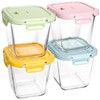 Glass Soup Containers with lids 4 Cup, 32 oz Glass
