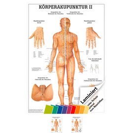 Sport-Tec Body Acupuncture II Mini Poster Anatomy 34 x 24 cm Medical Teaching Aid