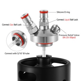 Mini Keg Dispenser, Beer Keg Spear Stainless Steel Double Ball Lock Quick Fitting Mini Keg Spear for Growler with 50" Beer Hose for 2L/3.6L/4L/5L/10L Mini Keg Growler