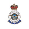 RAF Royal Air Force Veteran Lapel Pin Badge - HM