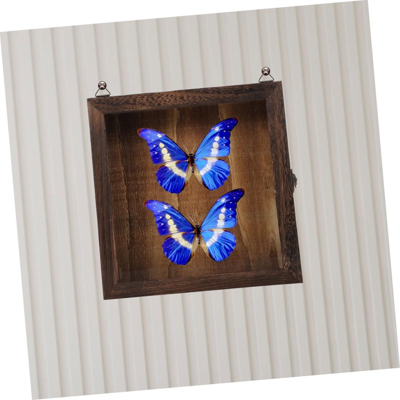 Alipis Wooden Frame Shadow Box Vintage Specimen Display Butterflies Specimen
