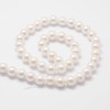 Ornazy 5 Strand 10mm White Shell Pearl Beads Round Loose